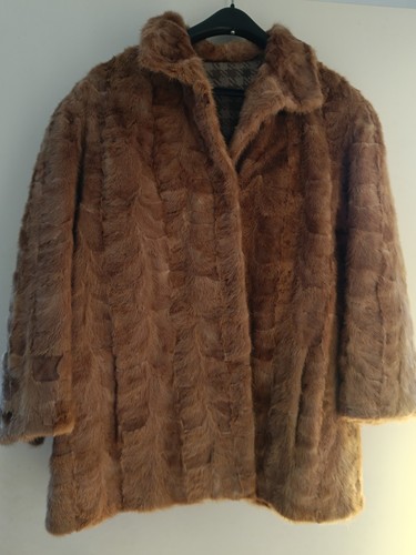 Magnifique manteau pattes - manteau, en